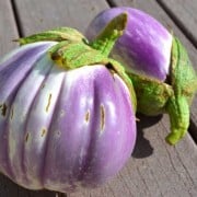 Rosa Bianca Eggplant