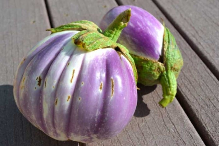 Rosa Bianca Eggplant