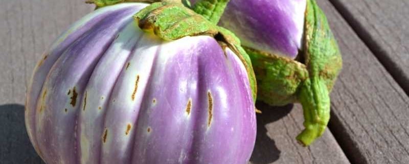 Rosa Bianca Eggplant