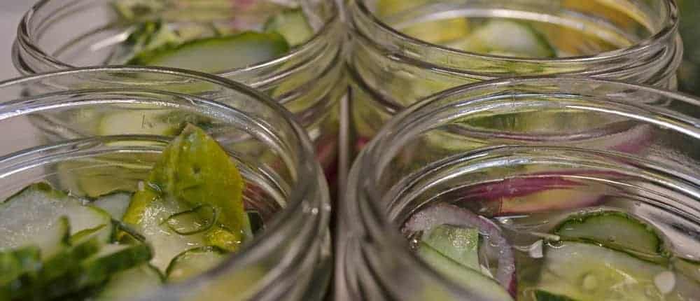 Packed Cilantro Freezer Pickles