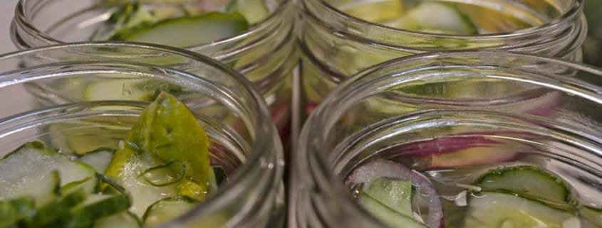 Packed Cilantro Freezer Pickles