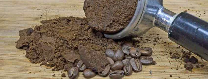 A coffee grinder and some beans on the ground