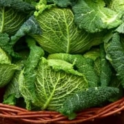 A basket of green leaves in the middle of a field.