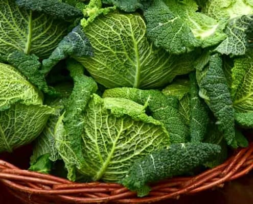 A basket of green leaves in the middle of a field.