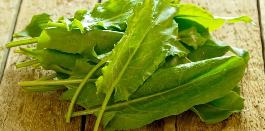 A pile of green leafy vegetables on top of a wooden table.