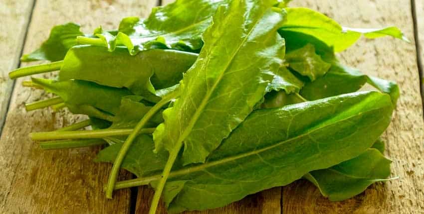 A pile of green leafy vegetables on top of a wooden table.