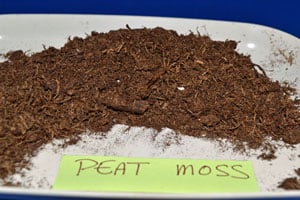 Peat Moss