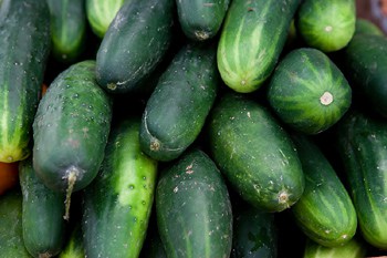 Fresh Cucumbers