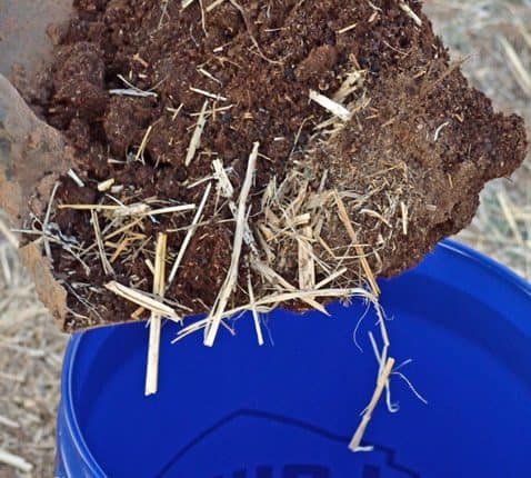 A blue bucket with some hay and dirt on it