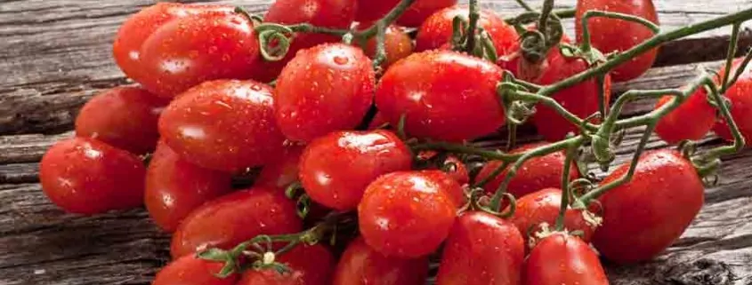 San Marzano Tomato