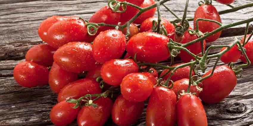 San Marzano Tomato