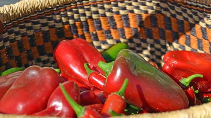 A basket of red peppers and green bell peppers.