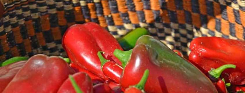 A basket of red peppers and green bell peppers.