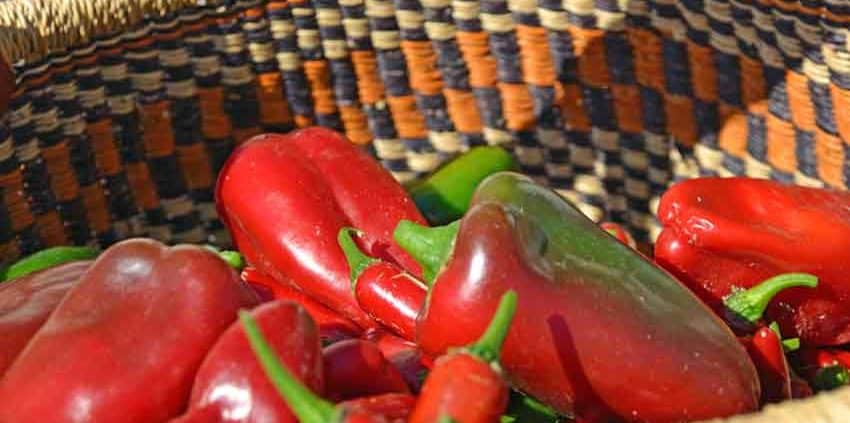 A basket of red peppers and green bell peppers.