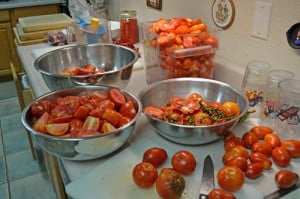 Fresh Tomatoes for Conserve