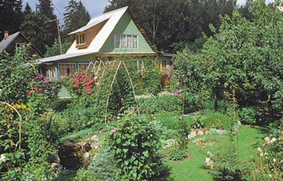 Dacha Garden