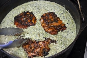 Oaxan Poblano Chicken