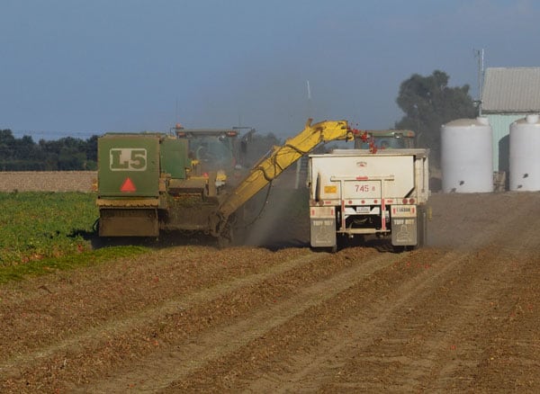 Industrial Agriculture