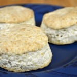 Sour Cream Biscuits