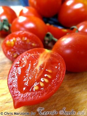 King Umberto Tomato