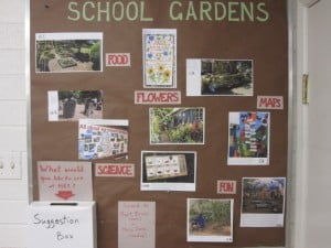 Humboldt Elementary School Garden