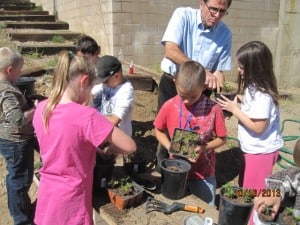 Humboldt Elementary School Garden