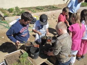 Humboldt Elementary School Garden