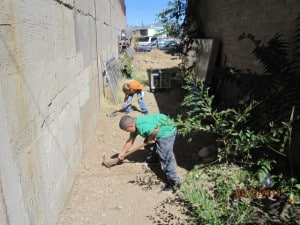 Humboldt Elementary School Garden