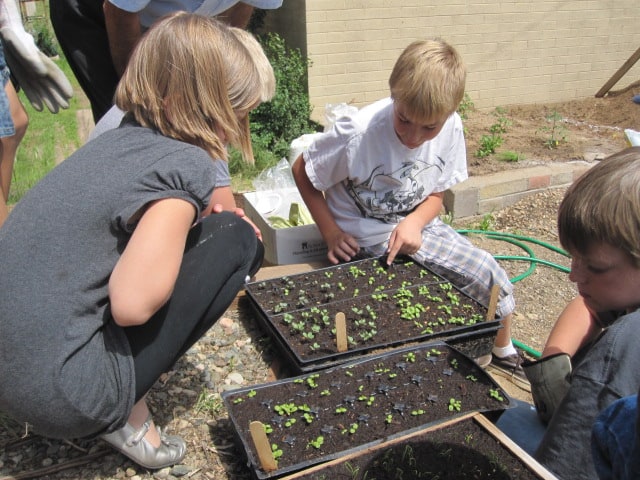 Humboldt Elementary School Garden