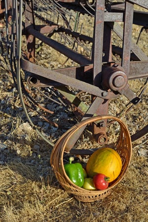 Farm Woman Melon Basket