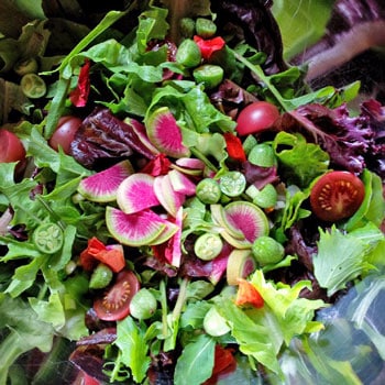 Fall Garden Salad