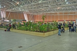 1,000 Gardens in Africa Display