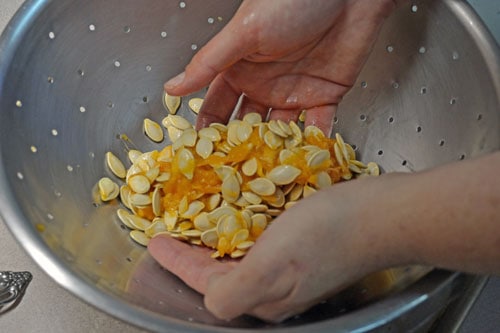 Cleaning Pumpkin Seeds