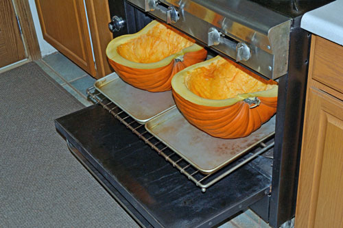 'roasting the Pumpkins