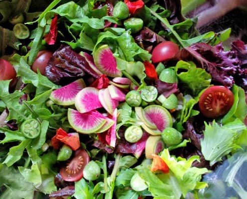 Heirloom Vegetable Salad