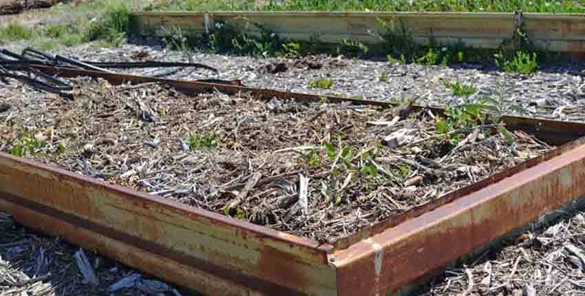 Two Raised Garden Beds