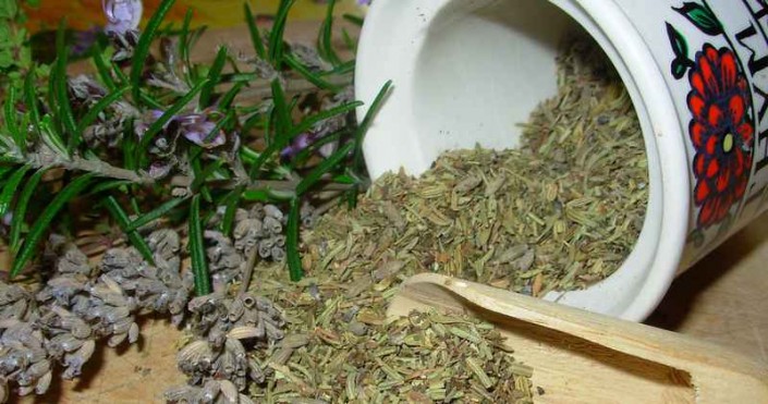 Indoor Herbs Indoor Herbs