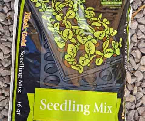 Black Gold Seed Starting Mix