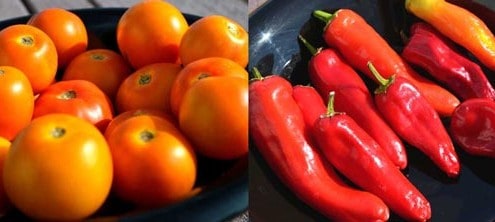 Heirloom Tomatoes & Peppers