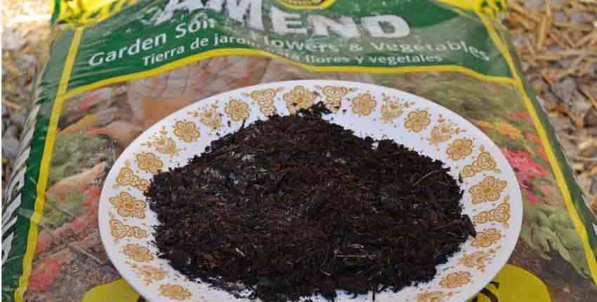 Kellog's Potting Soil Closup