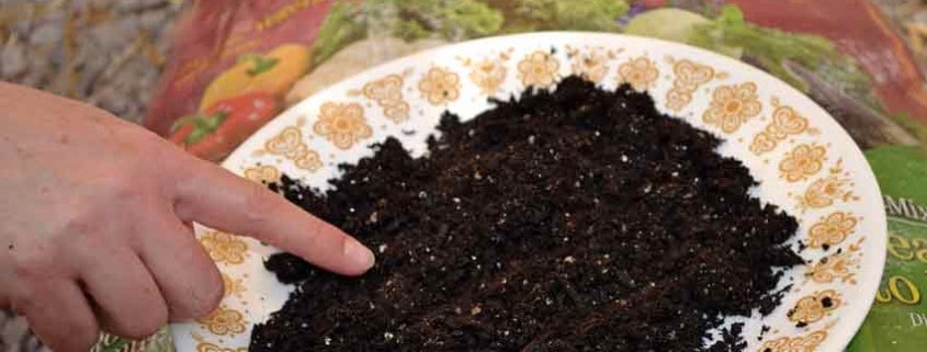 Square Foot Potting Soil Closeup