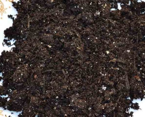 Square Foot Potting Soil