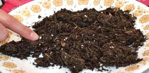 Seed Starting Mix