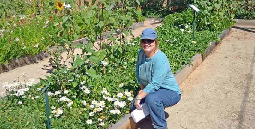 Luther Burbank House Garden Bed