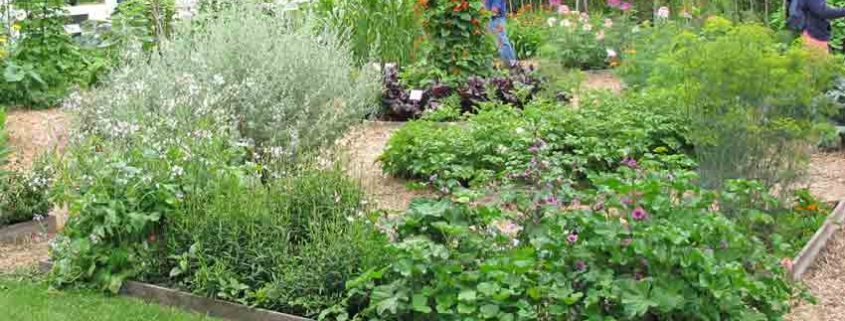 Seed Savers Exchange Garden