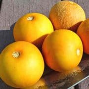 A bunch of oranges are on the table