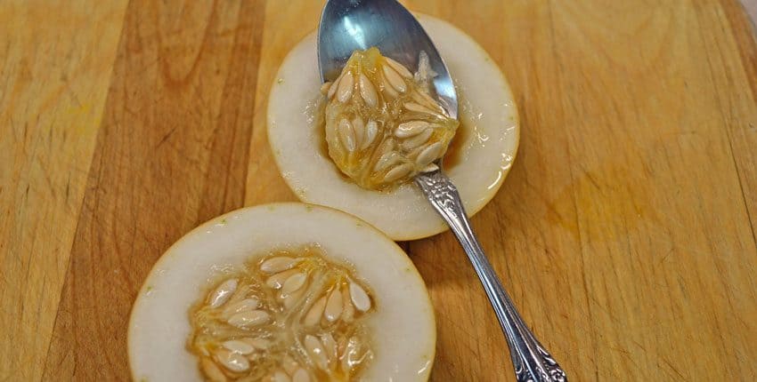 Vine Peach with Spoon