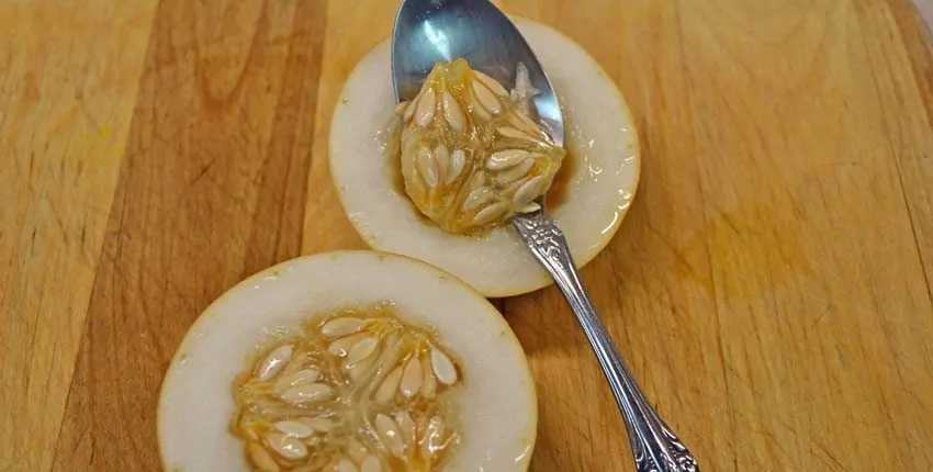 A bunch of oranges are on the table