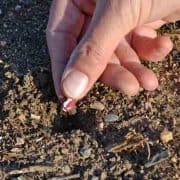 A person touching the ground with their fingers.