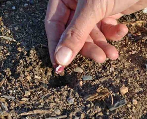 A person touching the ground with their fingers.